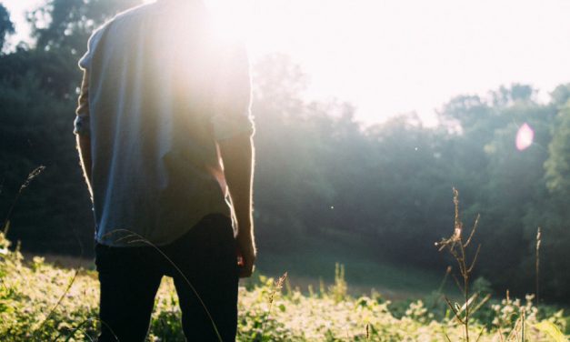 Hagen før og underveis